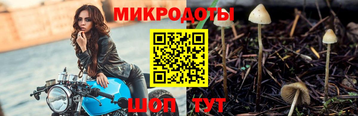 Галлюциногенные грибы прущие грибы Карабулак