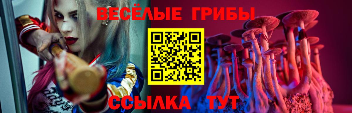 Галлюциногенные грибы мухоморы  Вход с VPN  Карабулак  Псилоцибиновые грибы MAGIC MUSHROOMS 